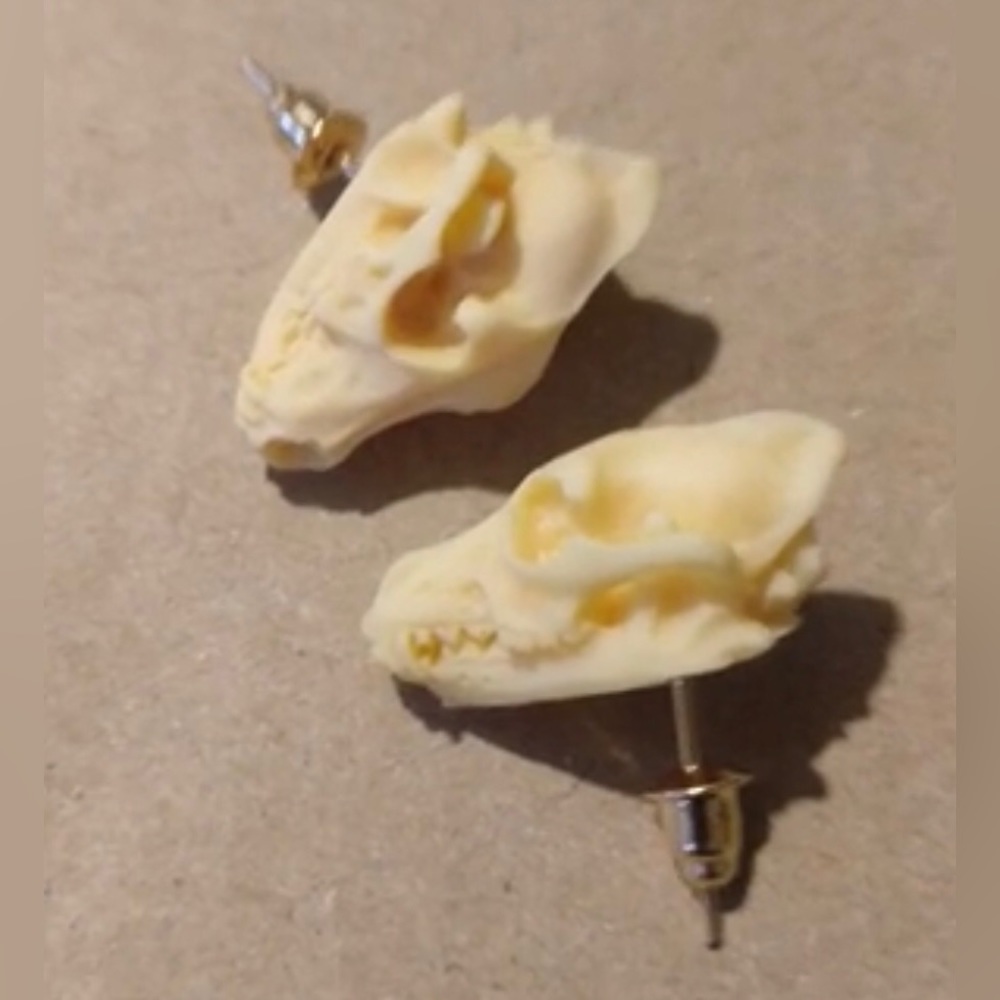 “Animal Skull” Dinosaur Sabertooth Wolf Dog Oddity Creepy Spooky Replica Studs - Picture 3 of 12